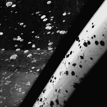 Life around / ***