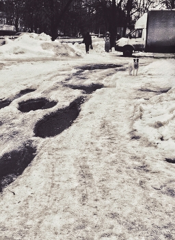 early March / ***