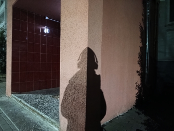 &nbsp; / ***