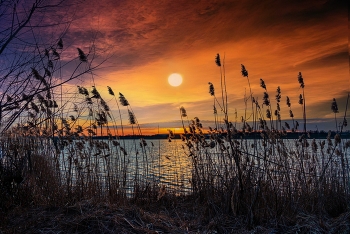 Evening on the lake. / ***