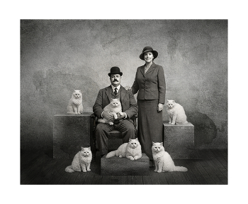 Family photos / digital art