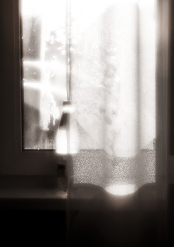 Meditation / ***