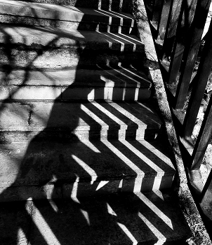 Shadows on the sand / ***