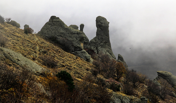 Autumn in the Valley of Ghosts / ***