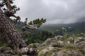 Under a veil of clouds / ***