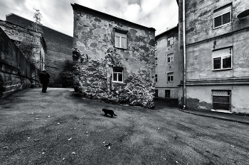 an old house / ***