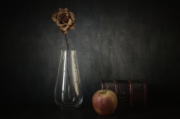 Rose / ***