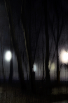 night fog / ***