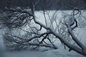 February / No comments.
