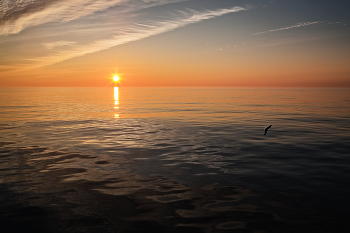 Evening Calm / ***