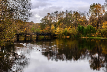 Autumn Day / ***