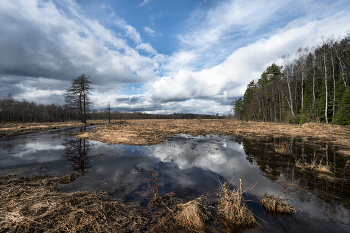 Spring flooding / ***