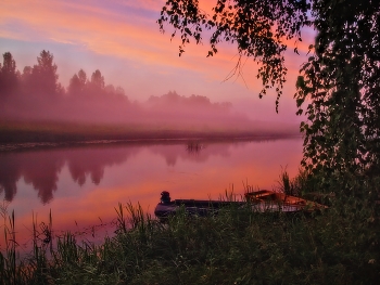 Pink mist / ***