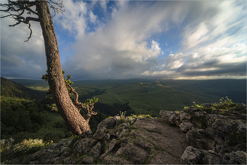 Caucasus / ***
