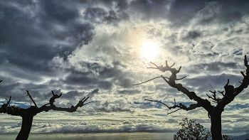Alforja - visió des de Puigcerver - Baix Camp / Alforja - visió des de Puigcerver - Baix Camp