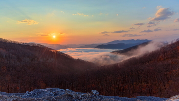 Fog at sunset / ***