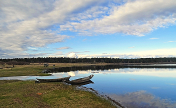 Spring tide / ***