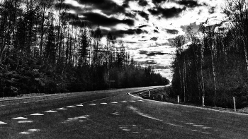 Life around / ***