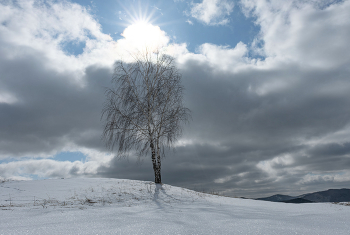 Spring / ***