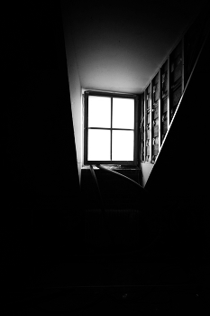 Light / ***