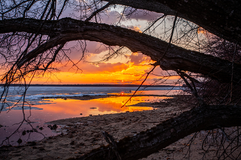beach / ***
