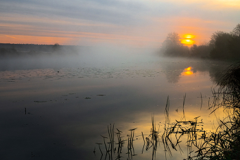 At dawn / ***