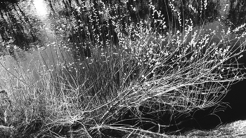 Life around / ***