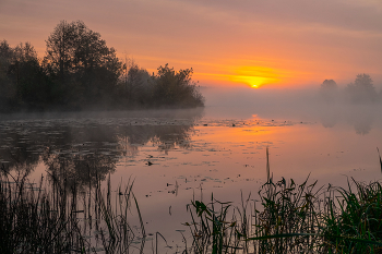 Sunrise. / ***