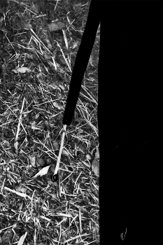 Life around / ***