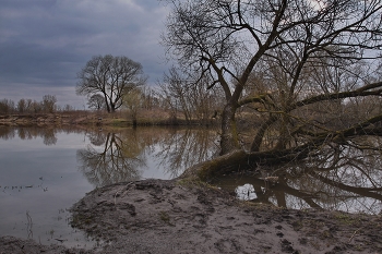 Spring storm / ***