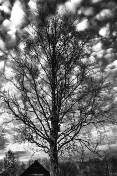 Life around / ***