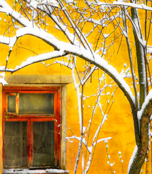 Window / ***