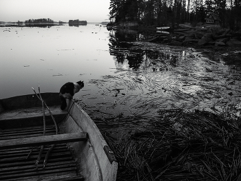 Fisherman. / ***