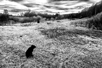 Life around / ***