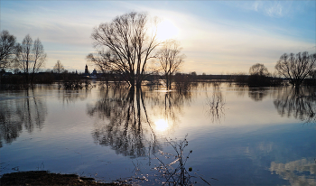 Flood / ***