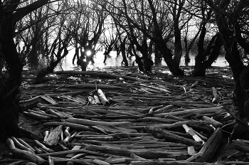High water / ***