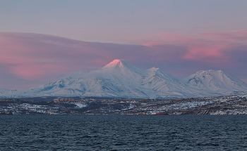 &nbsp; / ***