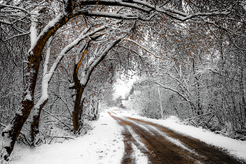 Somewhere / ***
