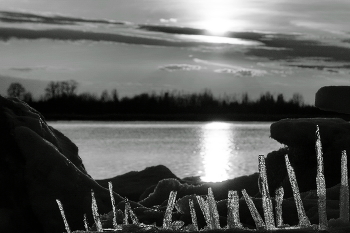 Evening / ***