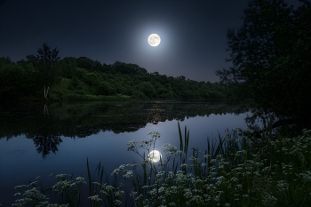 Moonlight. / ***