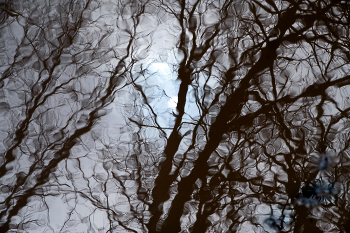 motion / ***