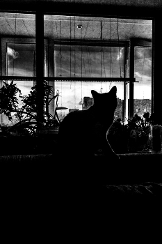 Life around / ***
