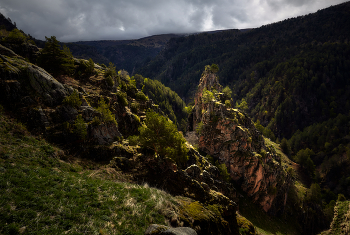 Caucasus / ***