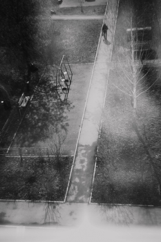 Spring / ***
