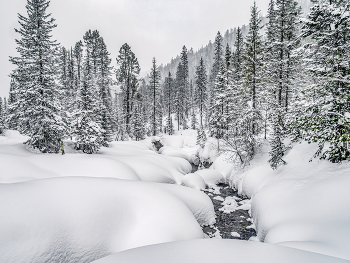 Snow / ***