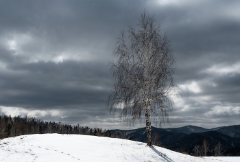 Waiting for Spring / ***