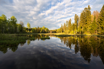 Landscape / ***
