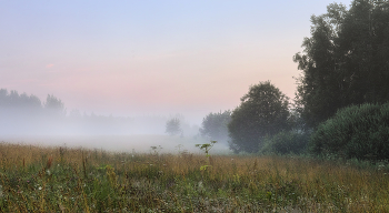 Gentle colors of dawn / ***