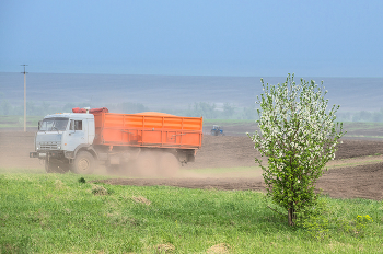 Sowing / ***