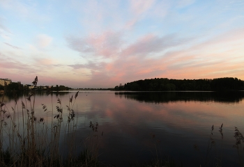 At the end of the day / ***
